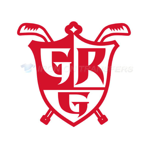 Grand Rapids Griffins Iron-on Stickers (Heat Transfers)NO.9010